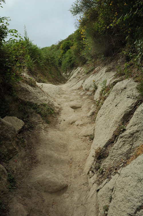 ../Images/mulattiera_per_cima_vulcanica_Monte Epomeo.jpg